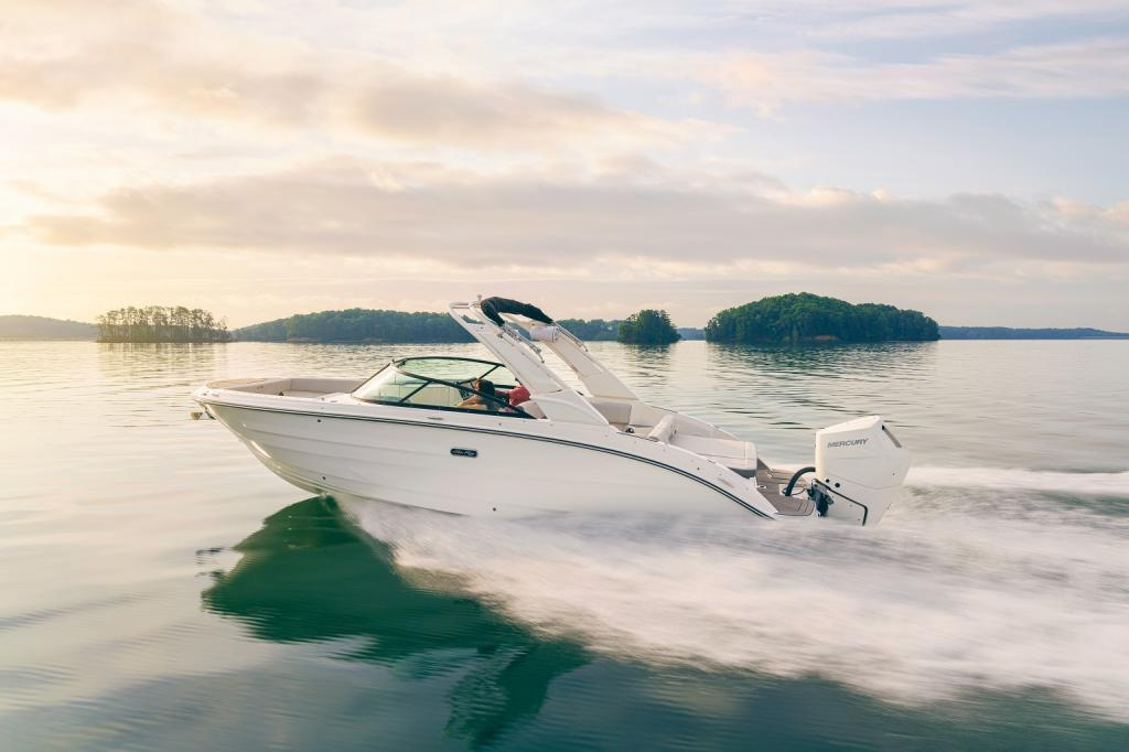 7744546-large 7744546-large